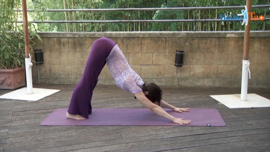 Yoga Vinyasa (Lingua Originale)